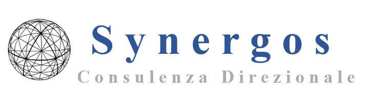 Services-  Synergos Consulenza Direzionale  